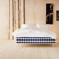 hastens luxuria