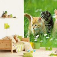 kinderkamer dieren